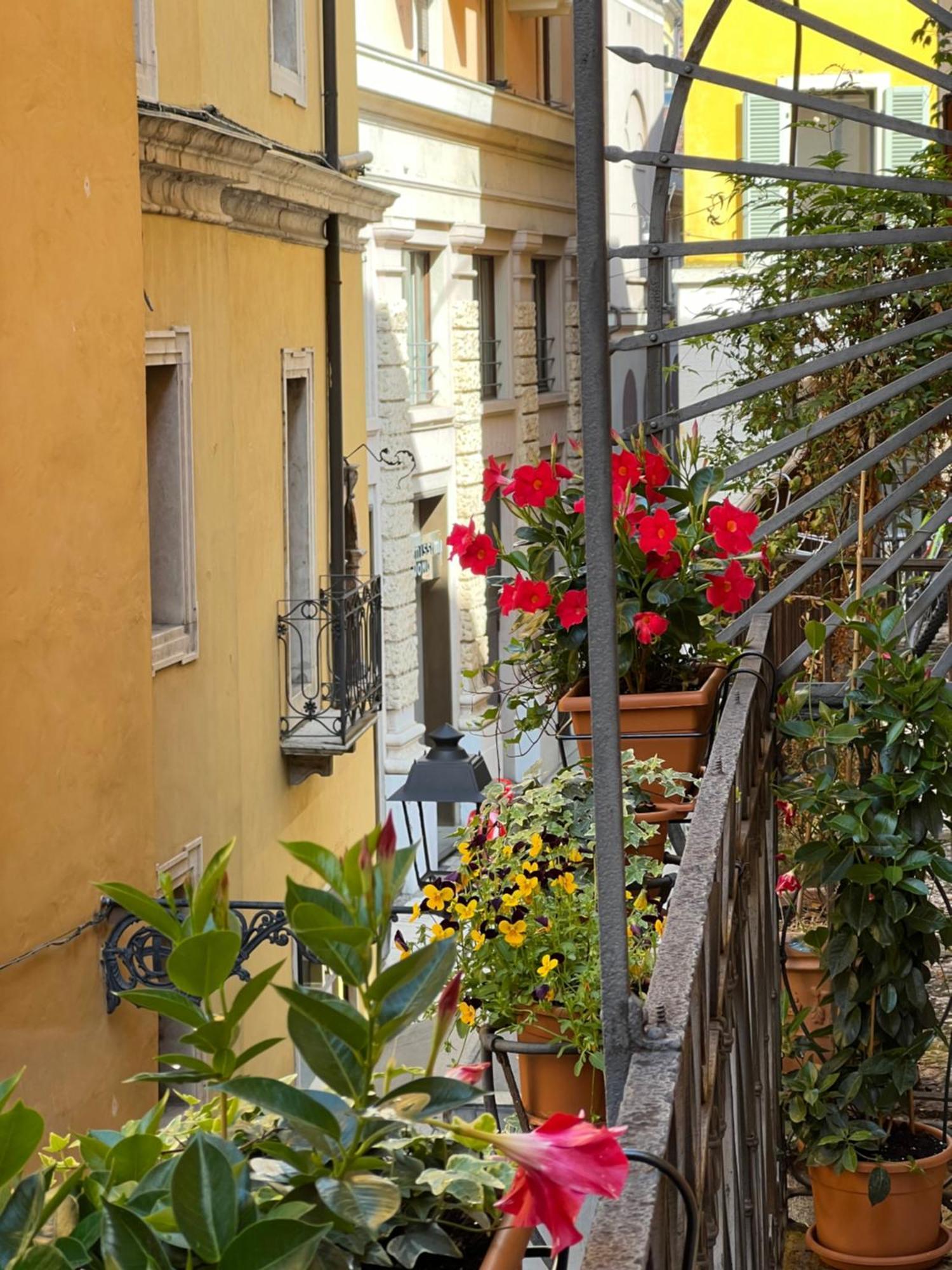 Flores Apartment